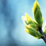 问鼎娱乐H5的未来发展方向与技术趋势展望 06i62tk