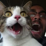 壹号娱乐ng:分享成功玩家的故事与经验 2q951mp