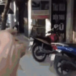 为什么问鼎娱乐H5成为年轻人最爱的平台 2y7lq