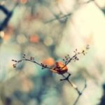 问鼎娱乐H5的推广策略与市场营销分析 3w4hzjxw