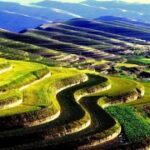 问鼎娱乐H5的游戏平衡性与公平性探讨 ay2i04q