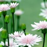 壹号娱乐H5平台的独特魅力与用户体验 fdd70vq4f