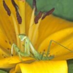 壹号娱乐H5的社区文化与玩家互动 osn1k3pmn5