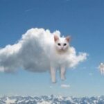 壹号娱乐H5的用户注册优惠与福利活动 xgptc04