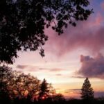 问鼎www:如何在互联网时代赢得成功 yb578336a